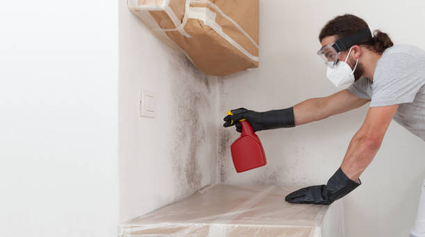 Professional Crawl Space Mold Remediation technician working in Jordan, MN