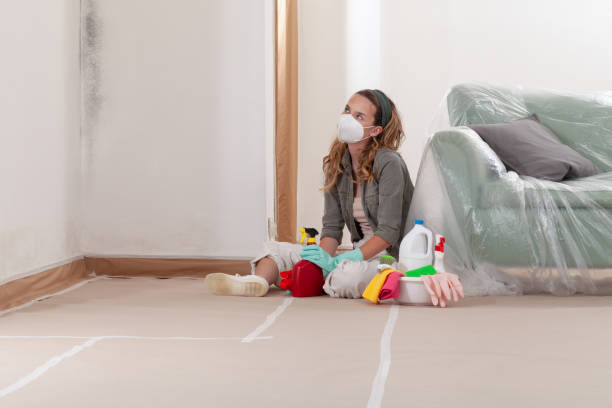 Reliable Crawl Space Mold Remediation contractor in Jordan, MN by 24 Hour Mold Removal